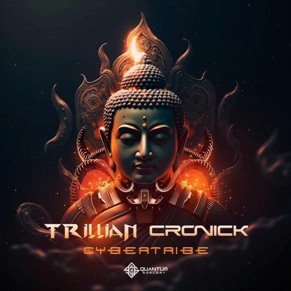 Trillian & Cronick  Cybertribe Original Mix » скачать в MP3 или слушать бесплатно онлайн