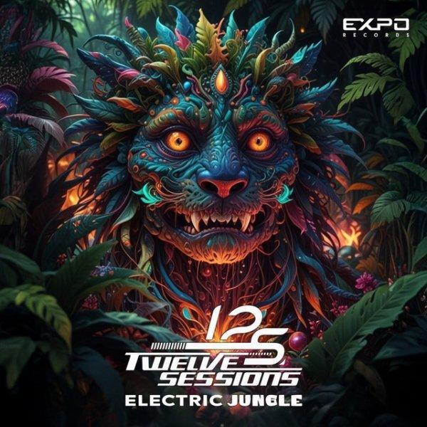 Twelve Sessions  Electric Jungle Original Mix » скачать в MP3 или слушать бесплатно онлайн